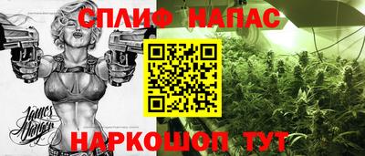 ПСИЛОЦИБИНОВЫЕ ГРИБЫ Будённовск