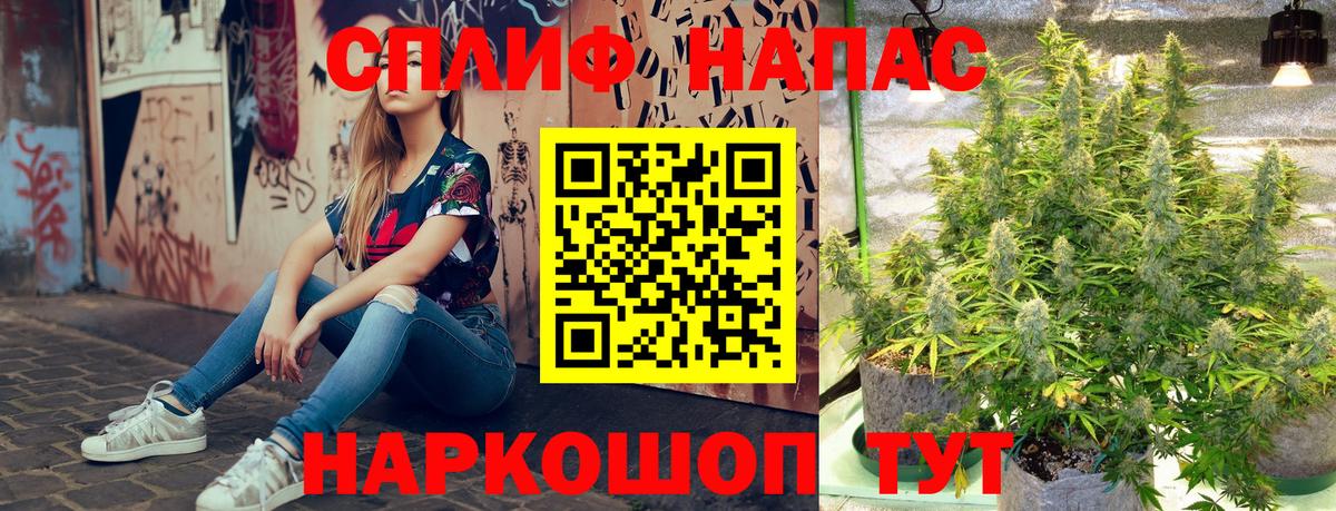 Марихуана Bruce Banner  Канабис индика  Славянск-на-Кубани  Вход с VPN  Марихуана ГИДРОПОН 